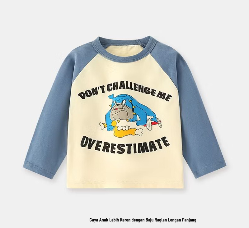 Baju Raglan Lengan Panjang